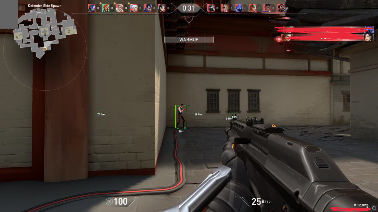 Wallhack Covcheg 3