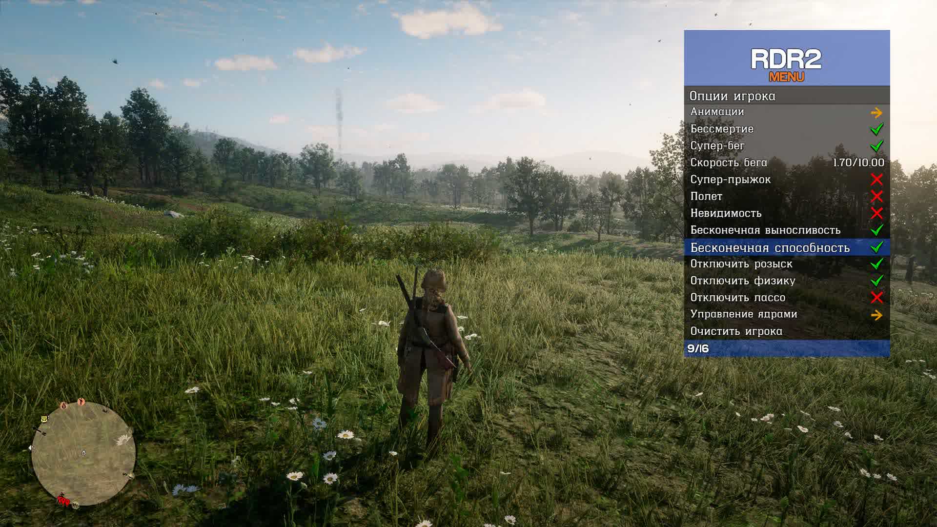 Чит RDR 2 8