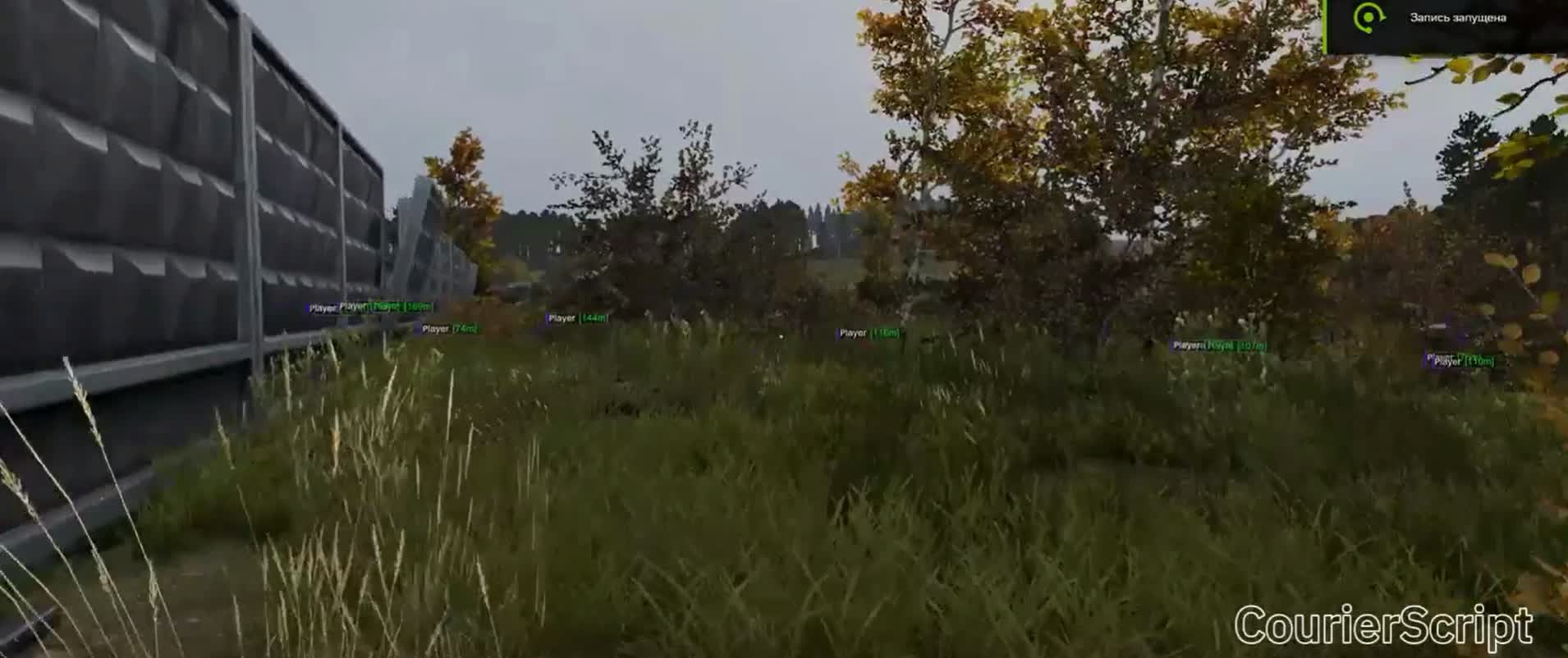 CourierScript для DayZ 2